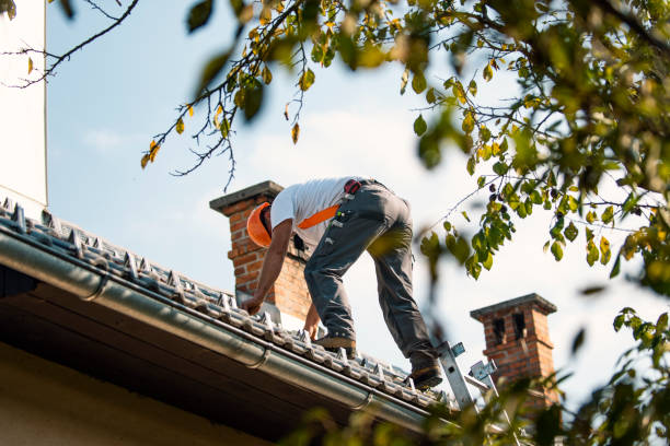 Professional Roofing Contractor in Pond Creek, OK