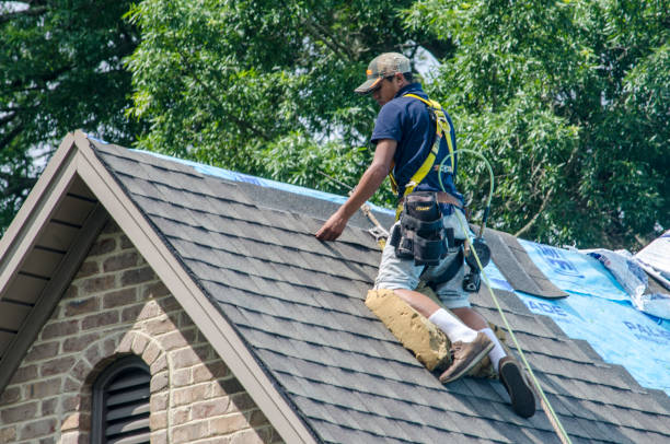 Best Roof Gutter Cleaning  in Pond Creek, OK